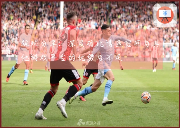 踩坑分享：深度对比博鱼官网与其他游戏平台的优势与不足