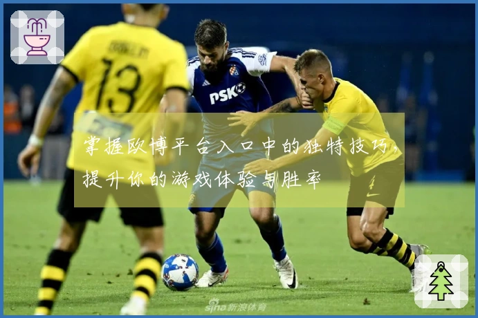 掌握欧博平台入口中的独特技巧，提升你的游戏体验与胜率