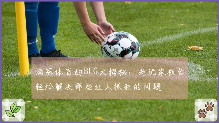 满冠体育的BUG大揭秘，老玩家教你轻松解决那些让人抓狂的问题